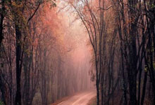 365BET：甜甜蜜蜜，黄雅琼和刘雨辰在浙江卫视跨年晚会合唱《你最珍贵》.