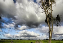 [乒乓球]六战六胜 黄石基地华新领跑男团乒超.